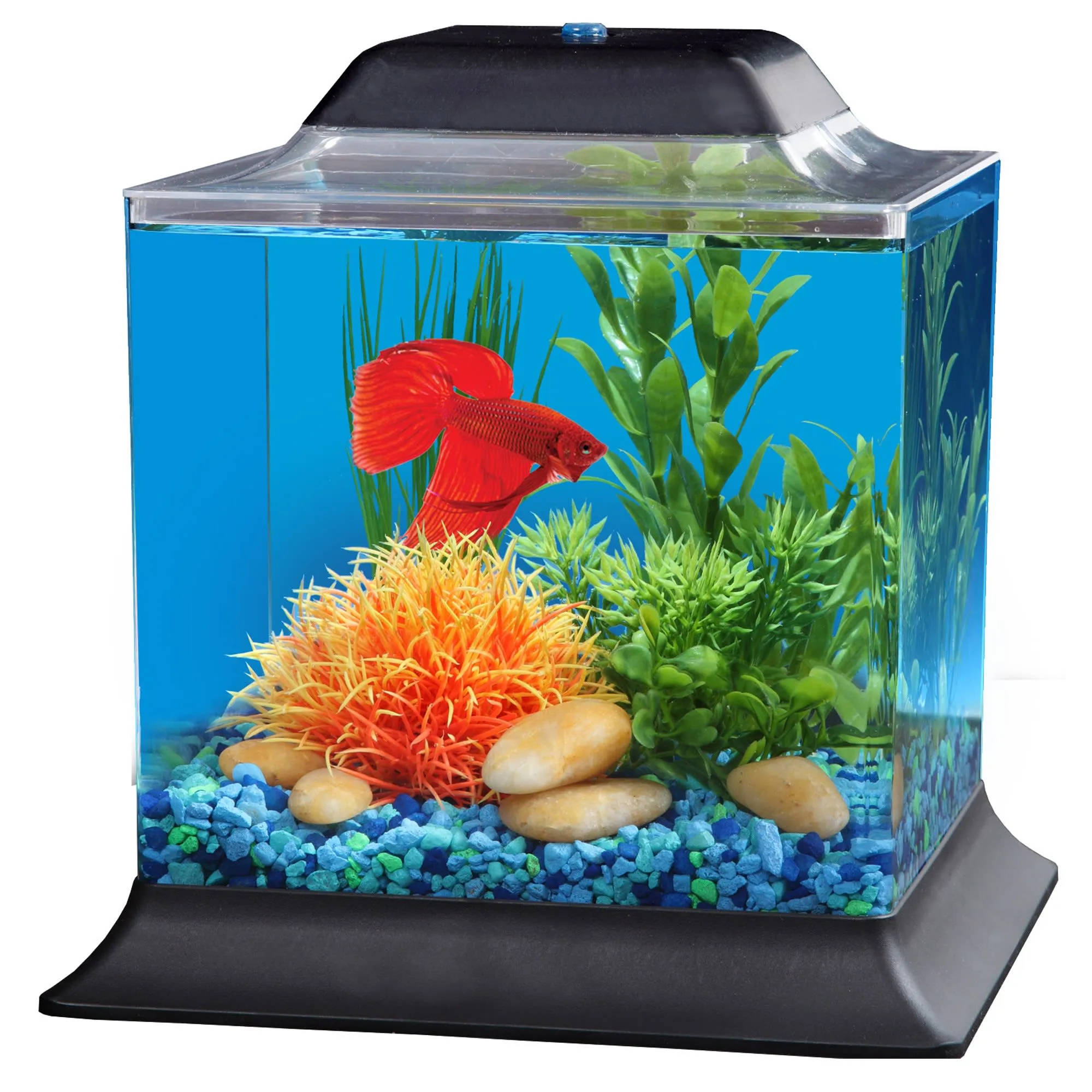 Gallon Gallon Fish Tank Petco Betta Fish Imagitarium Plastic Half