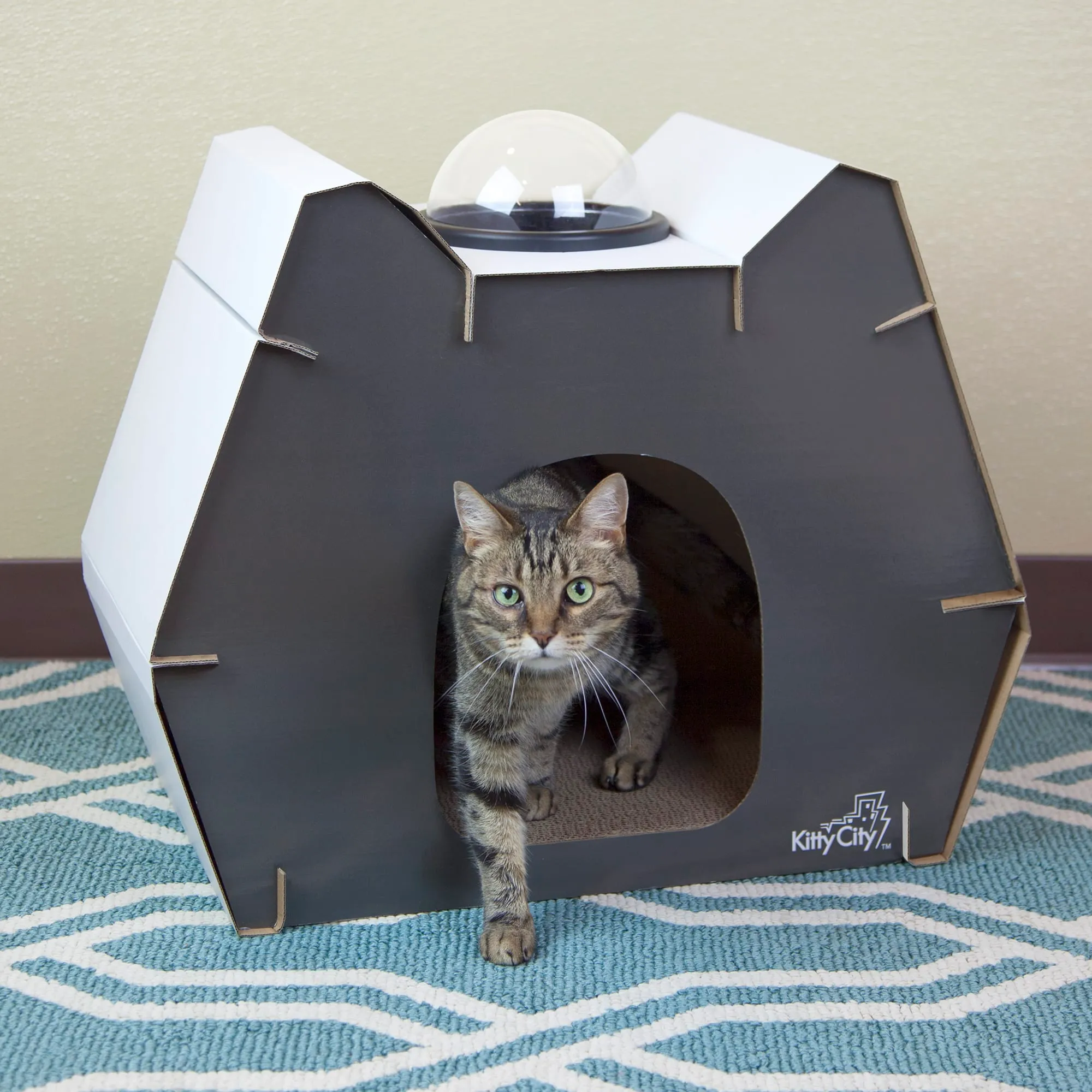 Kitty City Cat Head Dome Scratcher, H From 25,64 € DHgate - Main Image