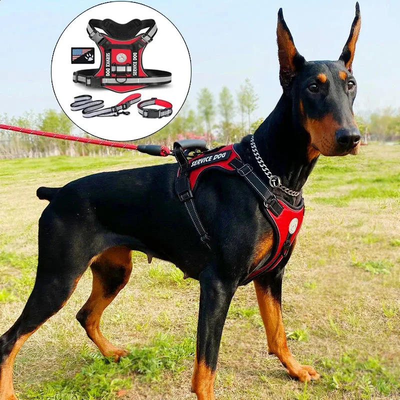 Save Big on Bulk Doberman Leash And Collar Doberman Leash And Collar Set  Dog Vest Harness Leash For Medium Large Breeds German Shepherd Best  Deals