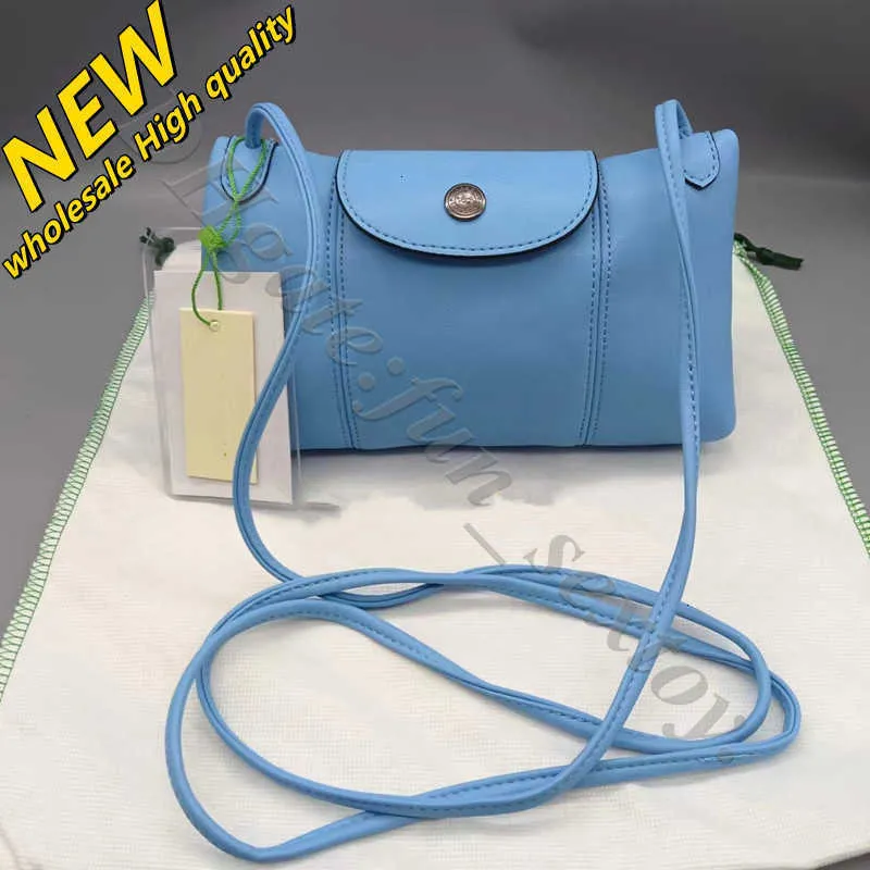 Wang Handbag Luxury Wallet Clearance Ziwen Retail Sac Wholesale Jour Bolso Dumpling Squareshoulder Small Cross-body Bag the Same Lamb Skin 86EH