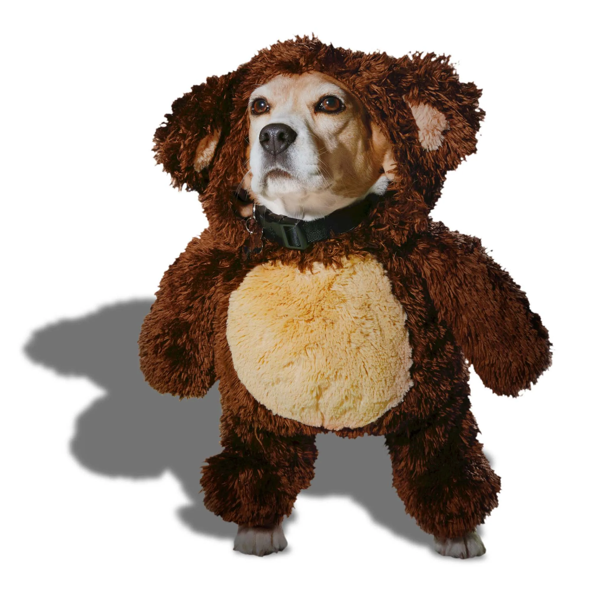 XX-Large Pet Costume Teddy Illusion for Dogs Cats! Shop Now for Fun!