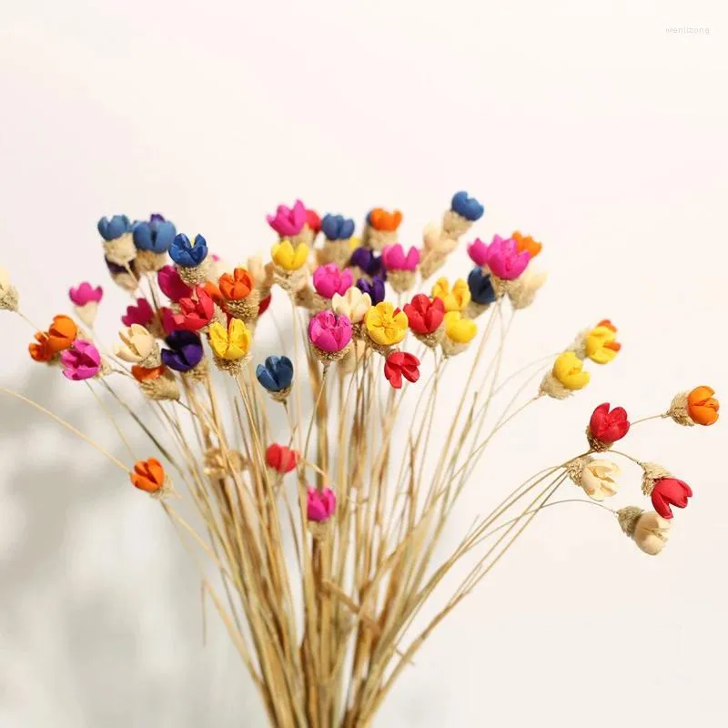 Decorative Flowers 10pcs Real Mini Happy Fruit Handmake Craft Dry Flower Natural Dried Wedding Office Table Home Decoration Accessories