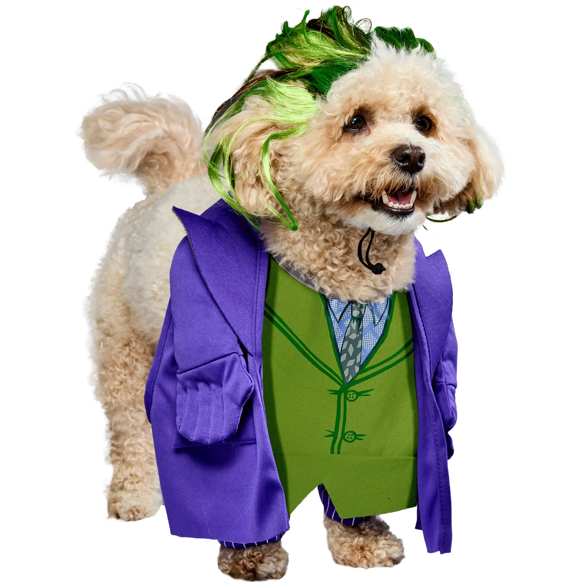 Save Big on Bulk Rubies Pet Costumes Small Dog Costumes: Whimsical Purple  And Green Outfit For Extra Small Pets Fun Dress Up Apparel For Dogs Best 