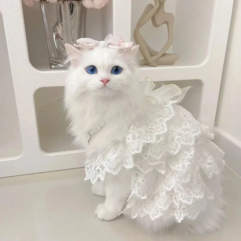 cat bridesmaid dress Elegant Cat Wedding Dress for Cat