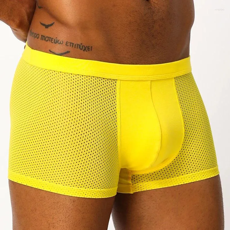 Sous-pants 2024 Brand Adannu Sexy Mens Boxers Shorts transparent Mesh Voir à travers la mode à la mode érotique Ad128