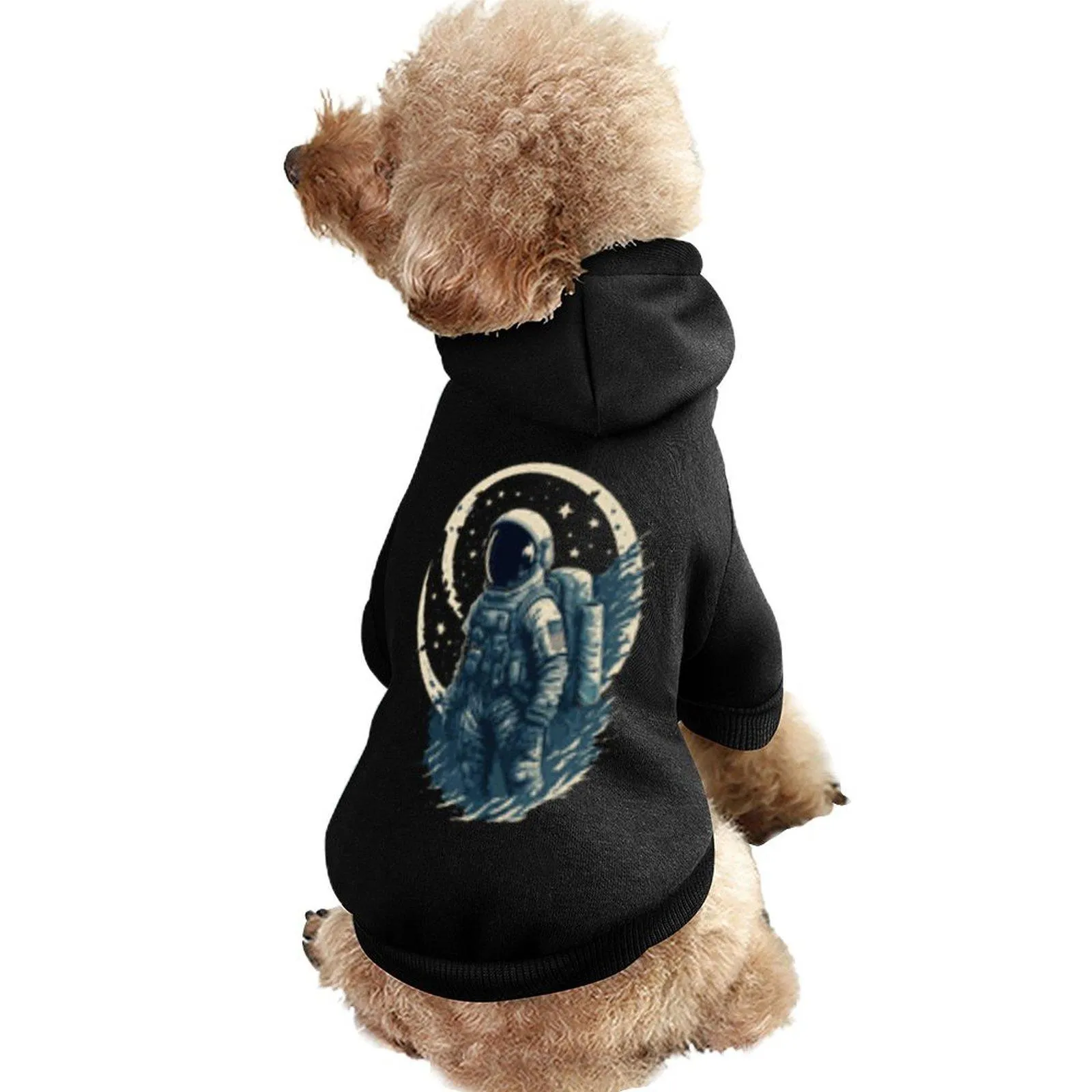 Hooded Sweatshirt with Anime Print Soft, Everyday Wear — free download