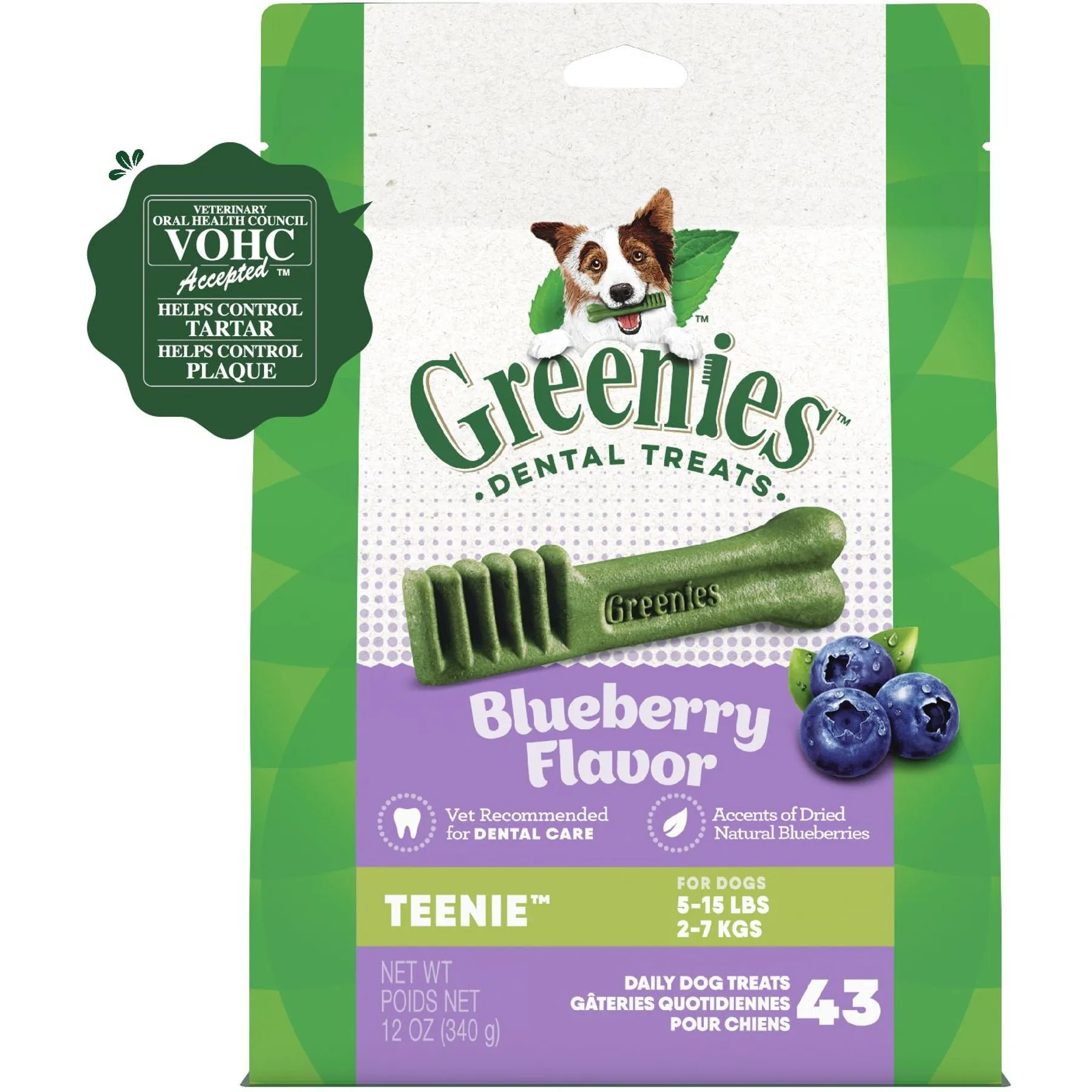 Snapshot of Blueberries For Dog Dental Health