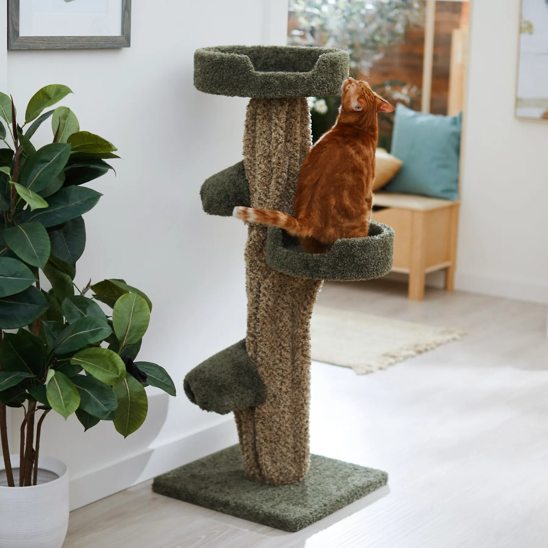 Rectangular Cat Tree 49-Inch Tree-Shaped Cat Tree with Real Carpet & Solid Wood - Whimsical ...