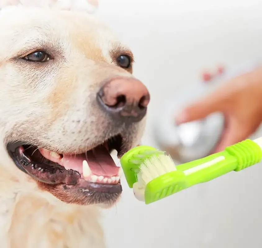 歯ブラシ5pcs/lot革新的なペット歯ブラシスリーヘッドマルチアングル歯ブラシクリーニング犬猫ブラシベッツ歯ケアツール