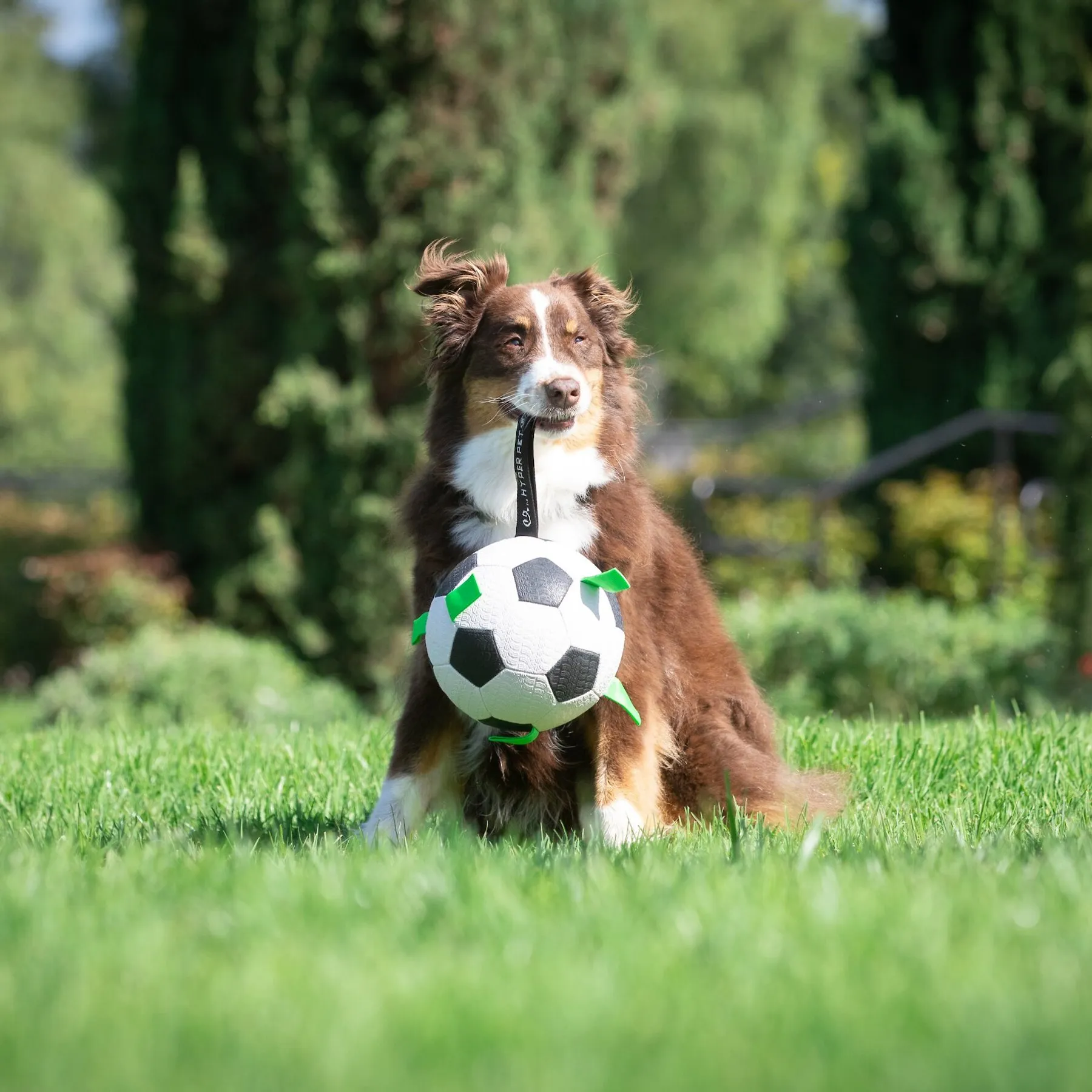 Spot Ethical Pet Plush Soccer Ball Hundespielzeug - Mit Quietscher, 4,5 Zoll, 9 Stück Packung, Für Hunde