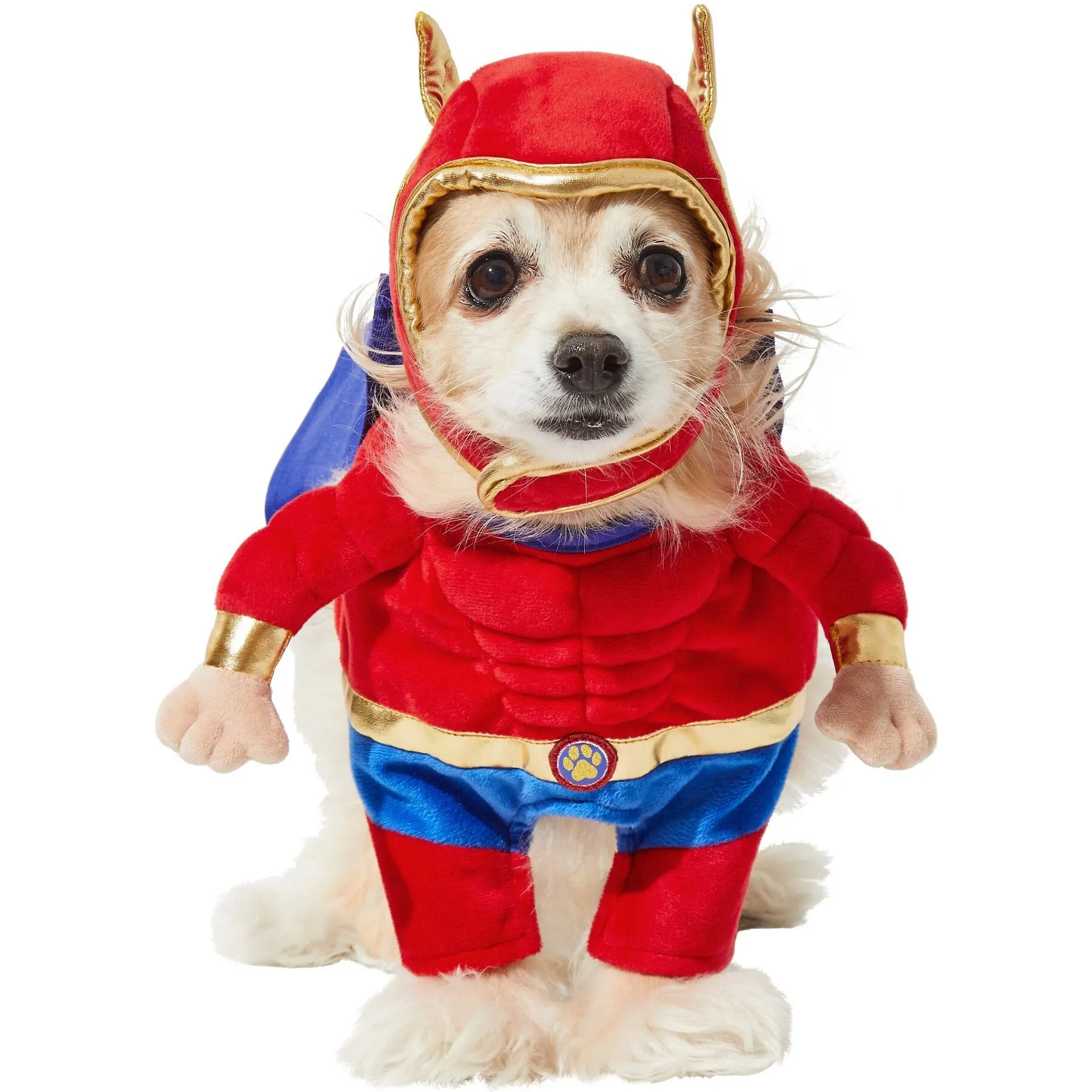 Catdog Dog Halloween Costume Fun Pet Superhero Costume with Front-Walking  Design, Lightweight Polyester, Ideal for Festive Occasions