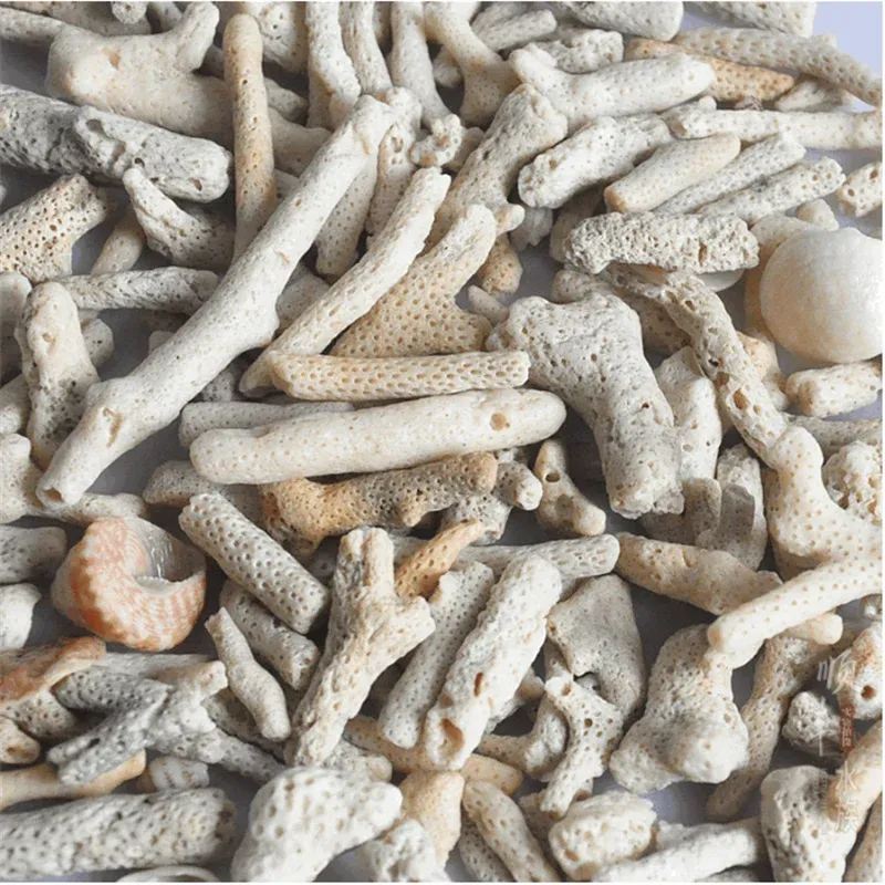 Chauffage Hongyi Natural Coral Bone Stone Marine Marine Aquarium Fishing Media