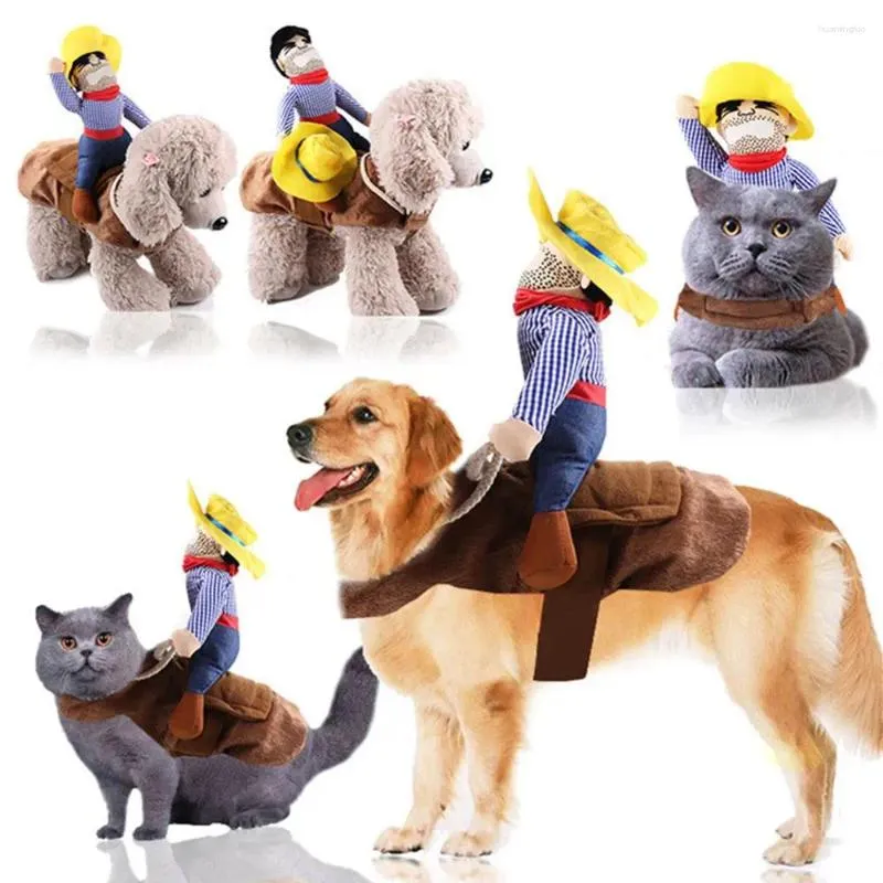 Vêtements de vêtements pour chiens pour petite éteinte vestes de manteau transformées Chihuahua Halloween Costume Costume Pet Produits