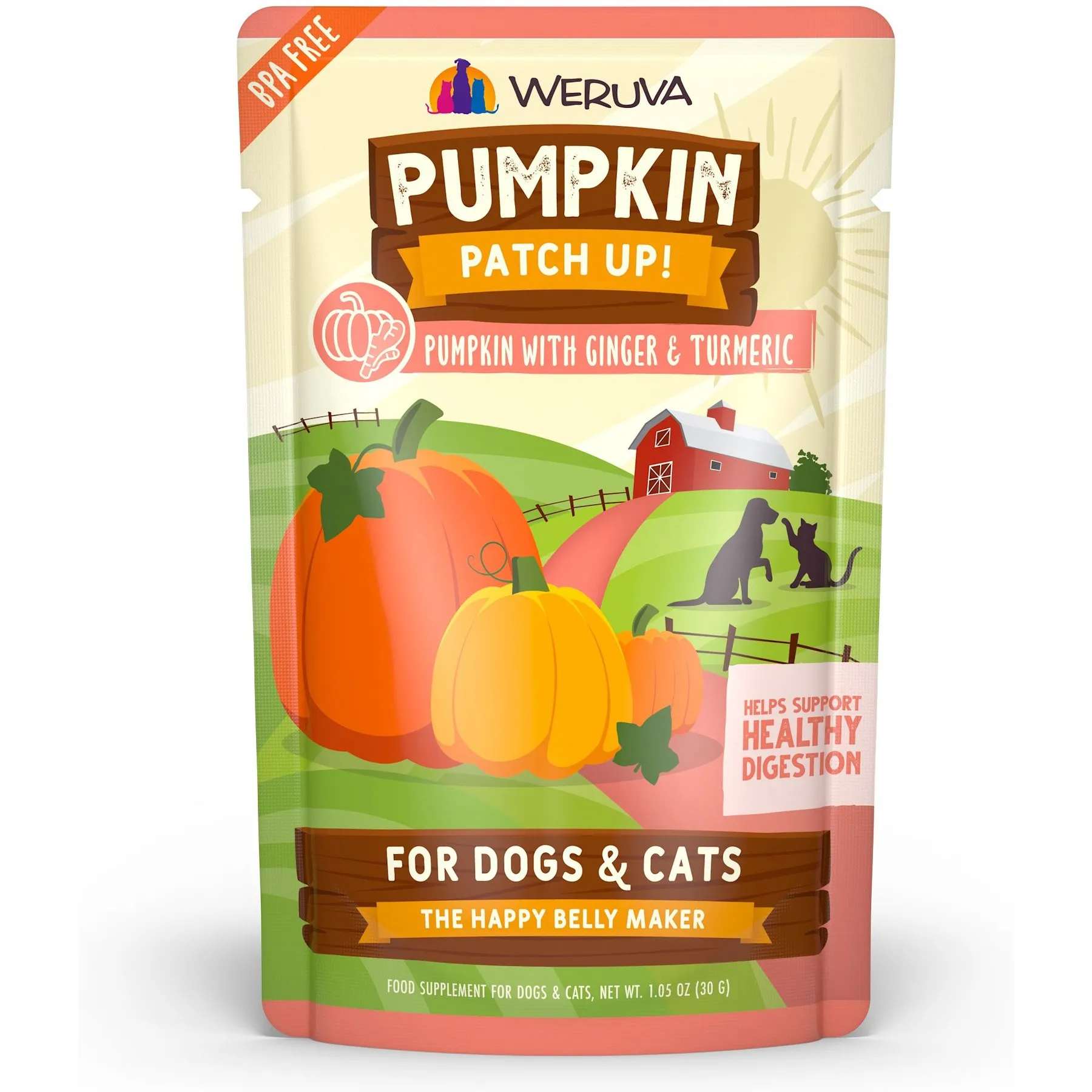 Upset Stomach Pure Pumpkin For Dog Diarrhea Pumpkin Digestive Aid