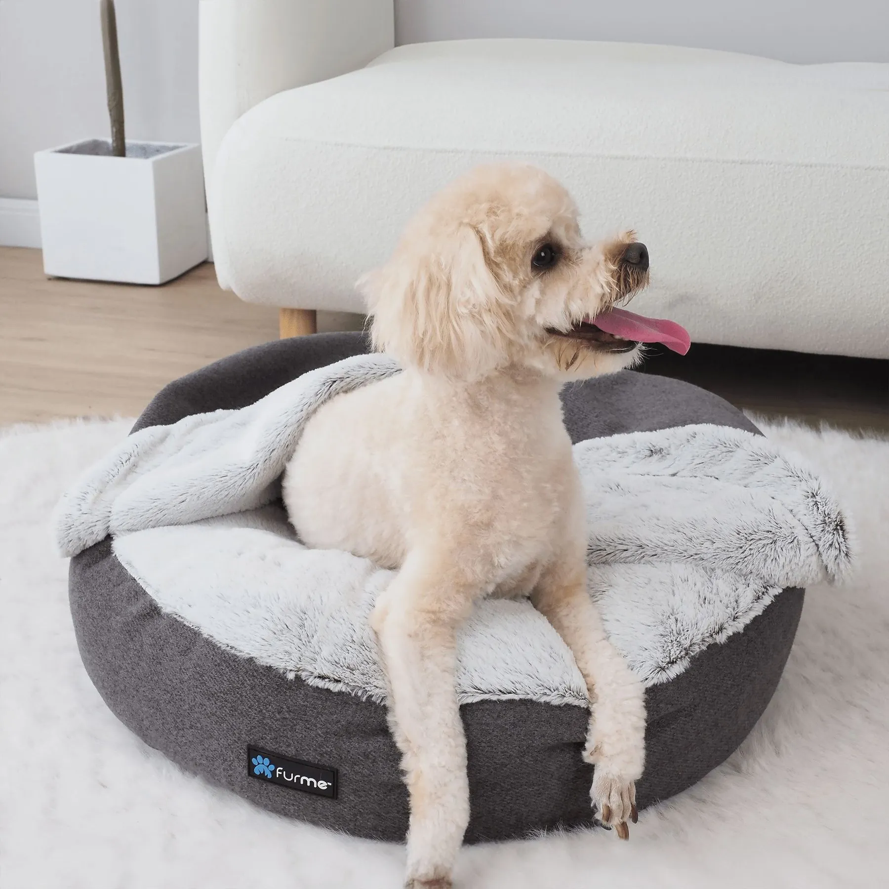 Catdog Bed: Plush Cozy Cuddle Cave for Small Pets with Removable Cover,  Graphite Ultimate Comfort, Lightweight for Daily Use, Featuring a Dog