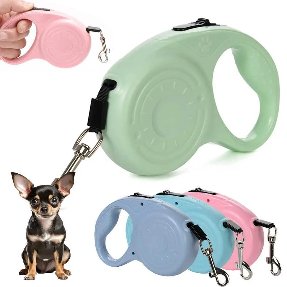 Photo inspiration: Visual Reference: Retractable Dog Leash Ideal For Small Medium Breeds Up To