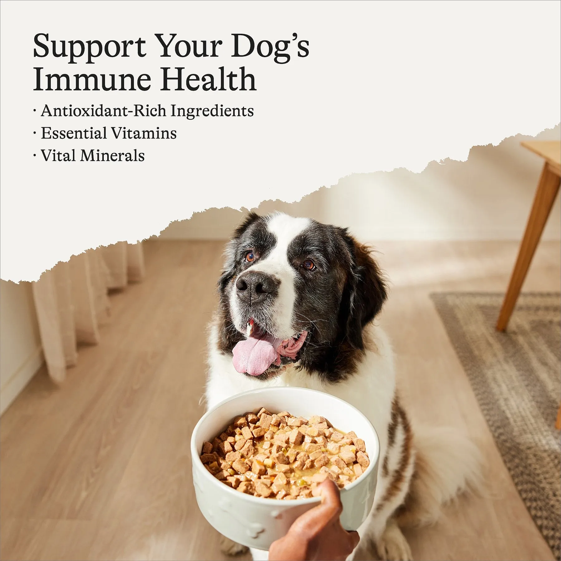 American Journey Chicken & Vegetables Stew Grain-Free Wet Canned Dog Food  for Adult Dogs from Dhgate Dog Wet Food - price 29.27