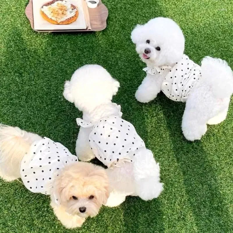 Hundebekleidung Welpe Prinzessin Kürbiskrock Teddy Sommer Kleidung Polka Punktmuster Cat Yorkshire Wrap Pet Pet Supplies