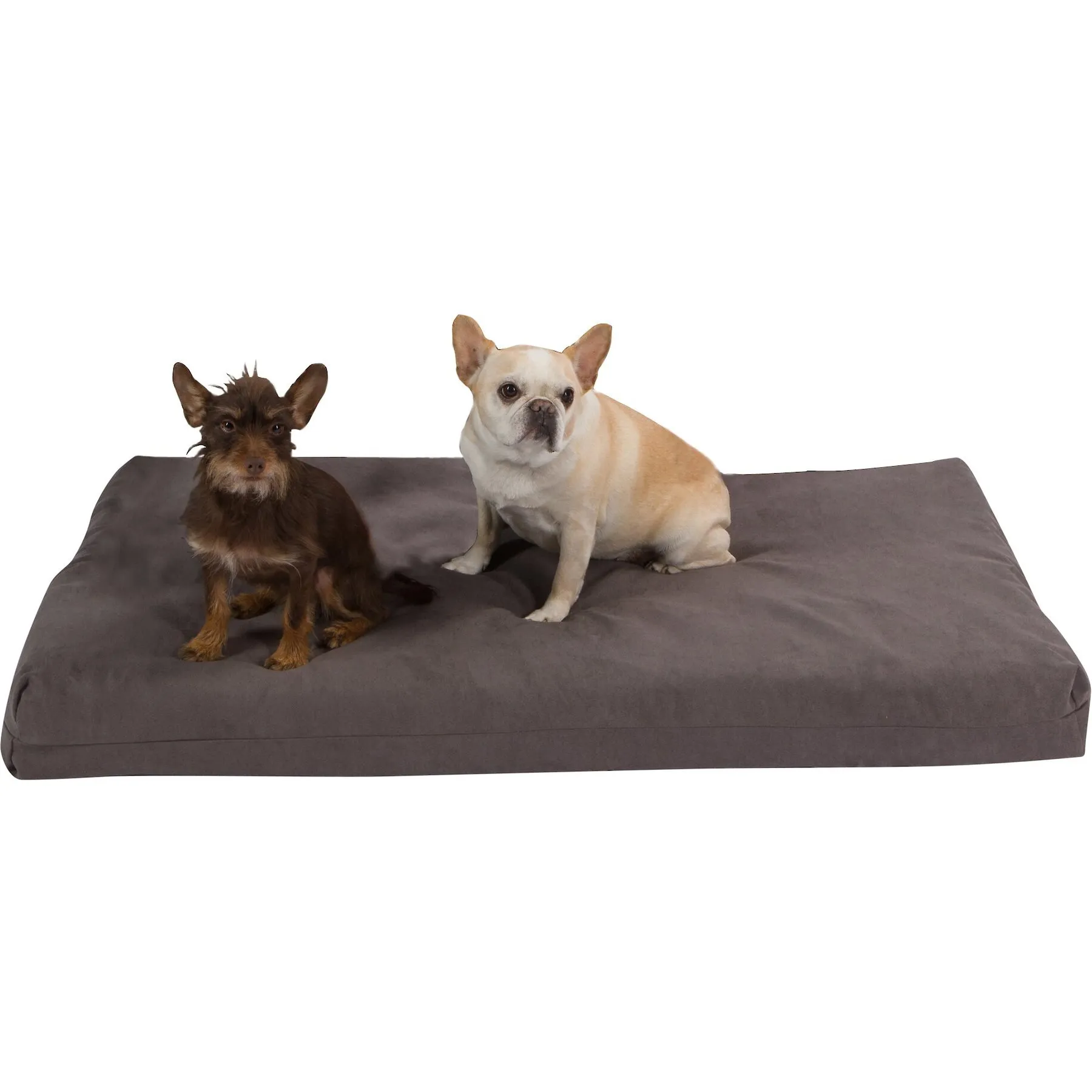 Image showcasing Gel Memory Foam Pillow Dog Bed: Premium Comfort & Support! Shop Now ...