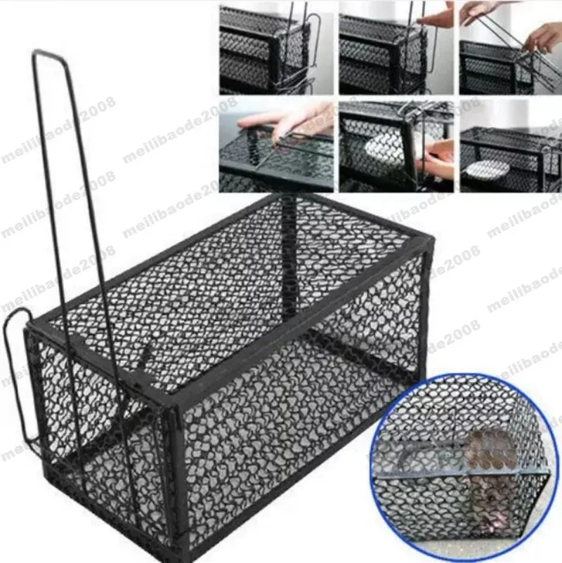 Contrôle de rat Catcher de printemps Cage Cage Humane Grand Pest Contrôle Rodeur Indoor Extérieur Patio Lawn Garden Supplies Myy