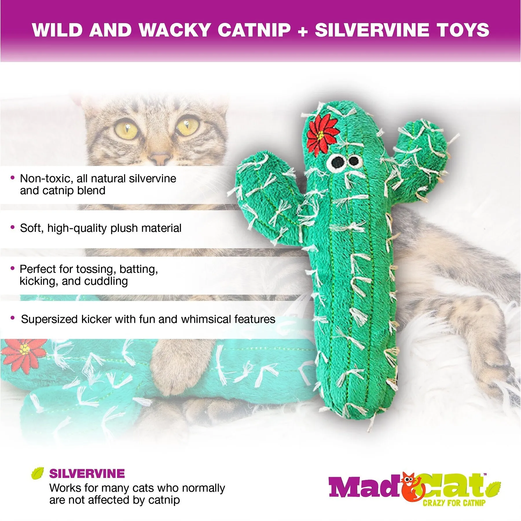 Premium Cactus Cat Plush Toy with Catnip & Silvervine - Best Seller! Shop  Now! from Dhgate Other Cat Supplies - price 7.8