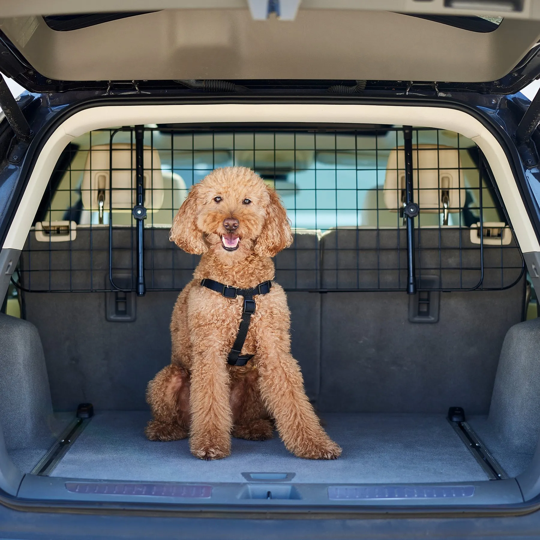 Adjustable Metal Dog Barrier for Car Backseat Premium Pet Barrier for SUV  Safety Shop Now!