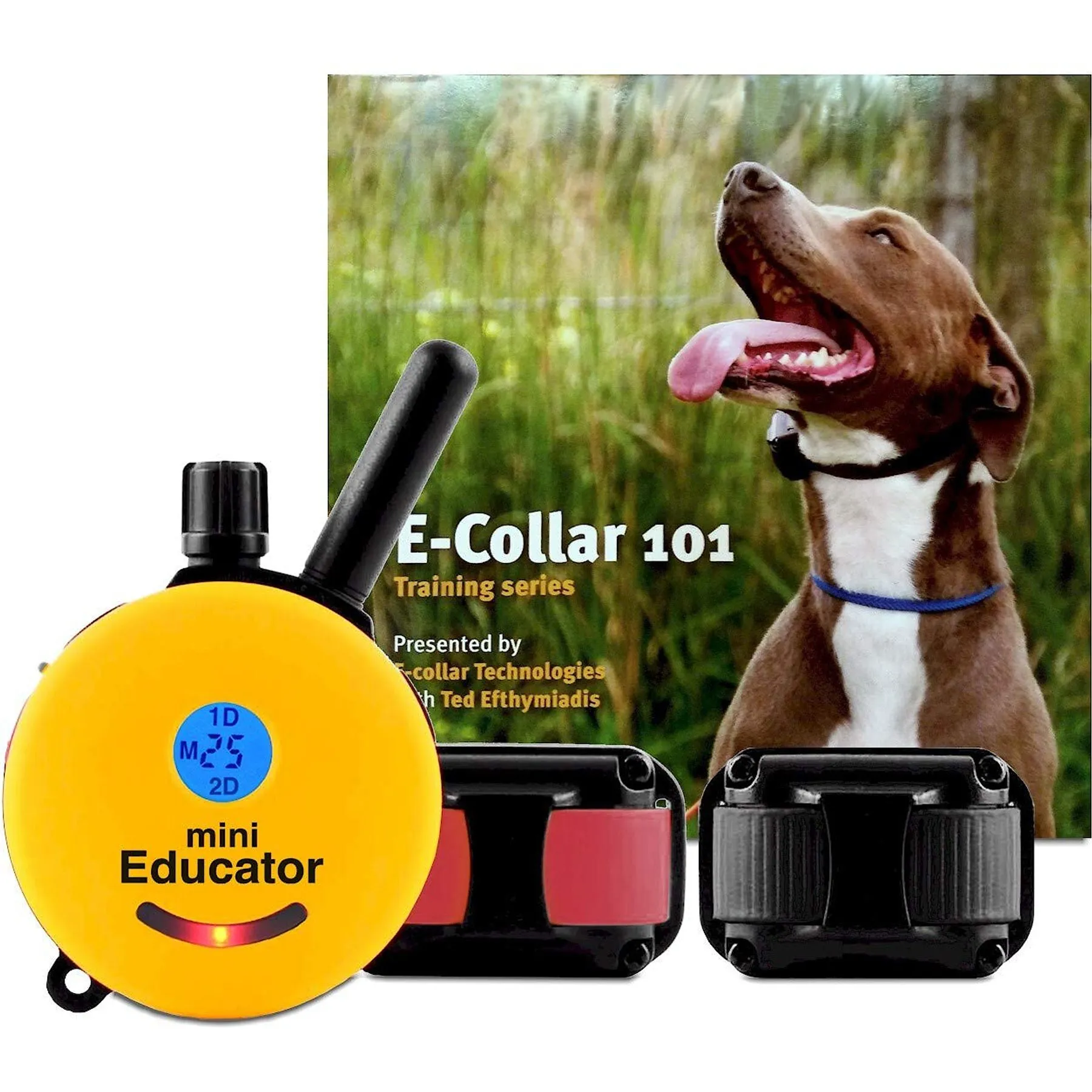 Mini Educator E E Collar Technologies Bark Collar E Collar