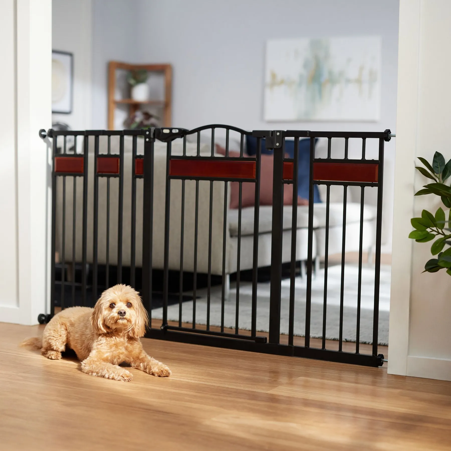 Save Big on Bulk Frisco Steel Extra Wide Auto Close Dog Gate Frisco Wood  Accents Extra Wide Auto Close Pet Gate 30 Inch Adjustable Barrier For Dogs  ..., image size:1800x1800