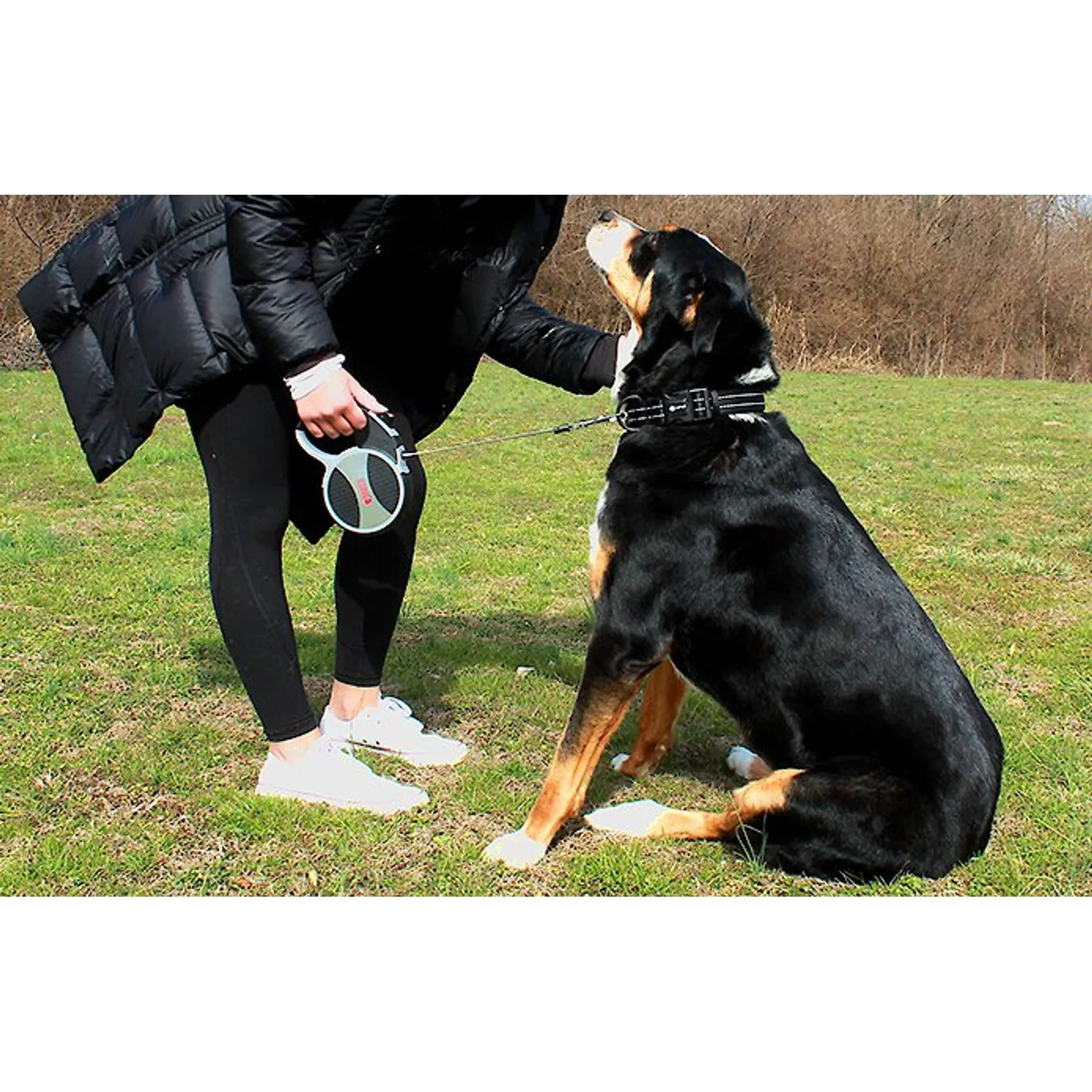 best outdoor cat water bowl Petmate 5 Gallon Big Blue Outdoor Water Bowl