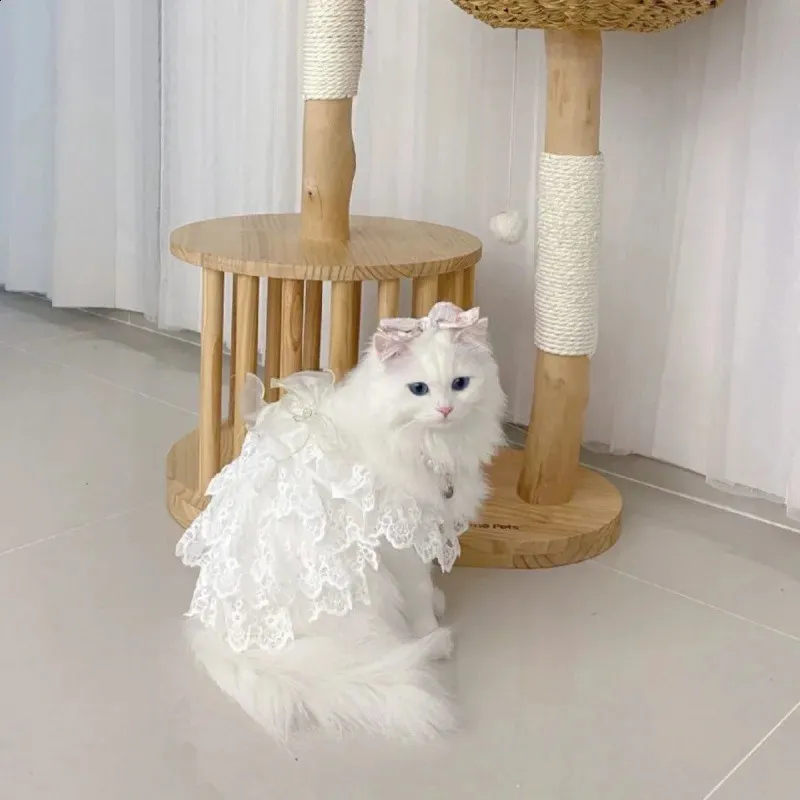 bridesmaid dresses for cats MissyMoMo Retro Embroidered Dog & Cat Dress, Dress for Cats, L, Cornsilk