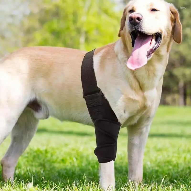Kolannik z odzieżą dla psów z 10 patykami wsparcia oddychające biodro dla psów wygodne i ochraniacze nóg małe