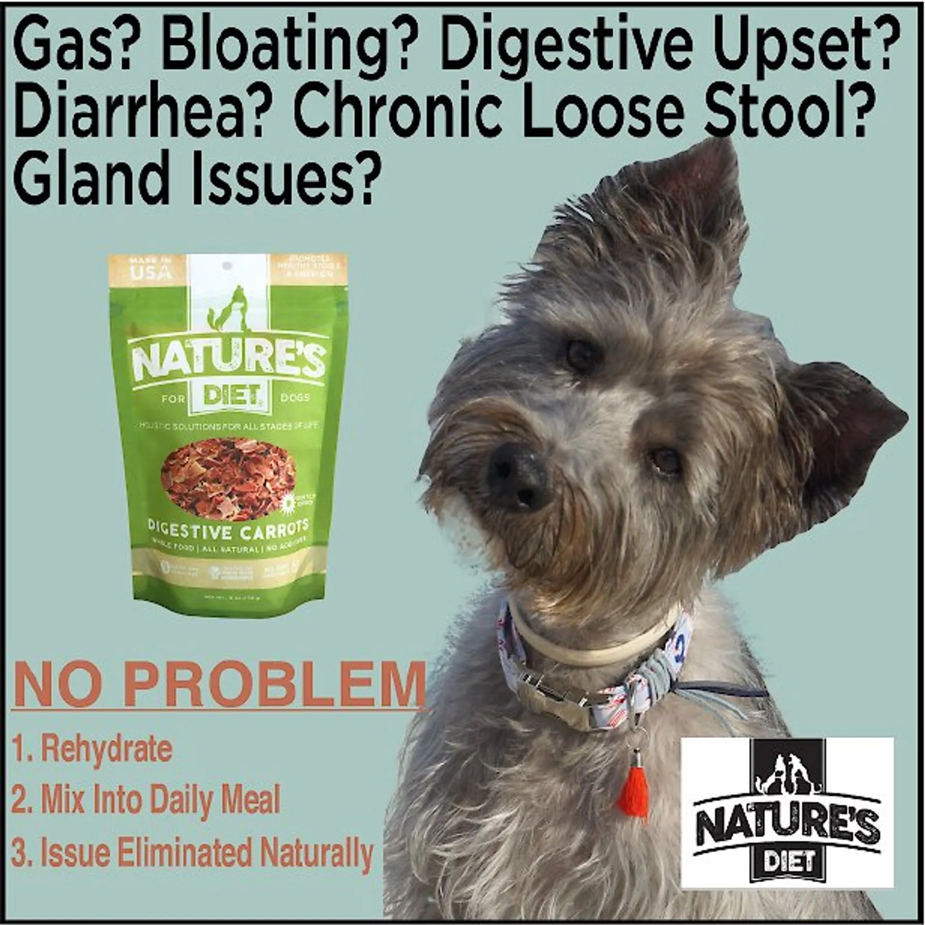 Raw Diet Changed Dog Food Now Diarrhea Raw Food Puppy Has Diarrhea