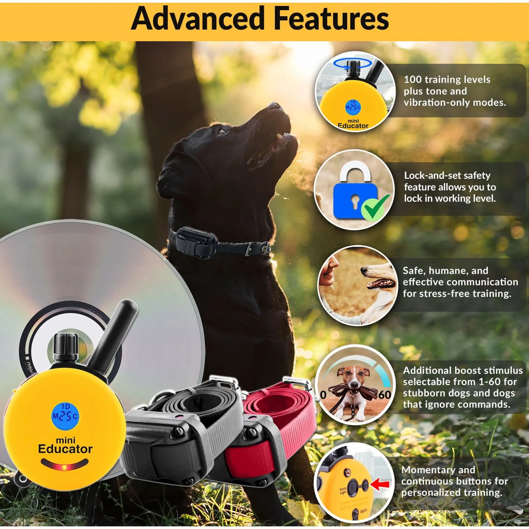 shock collar for miniature dogs