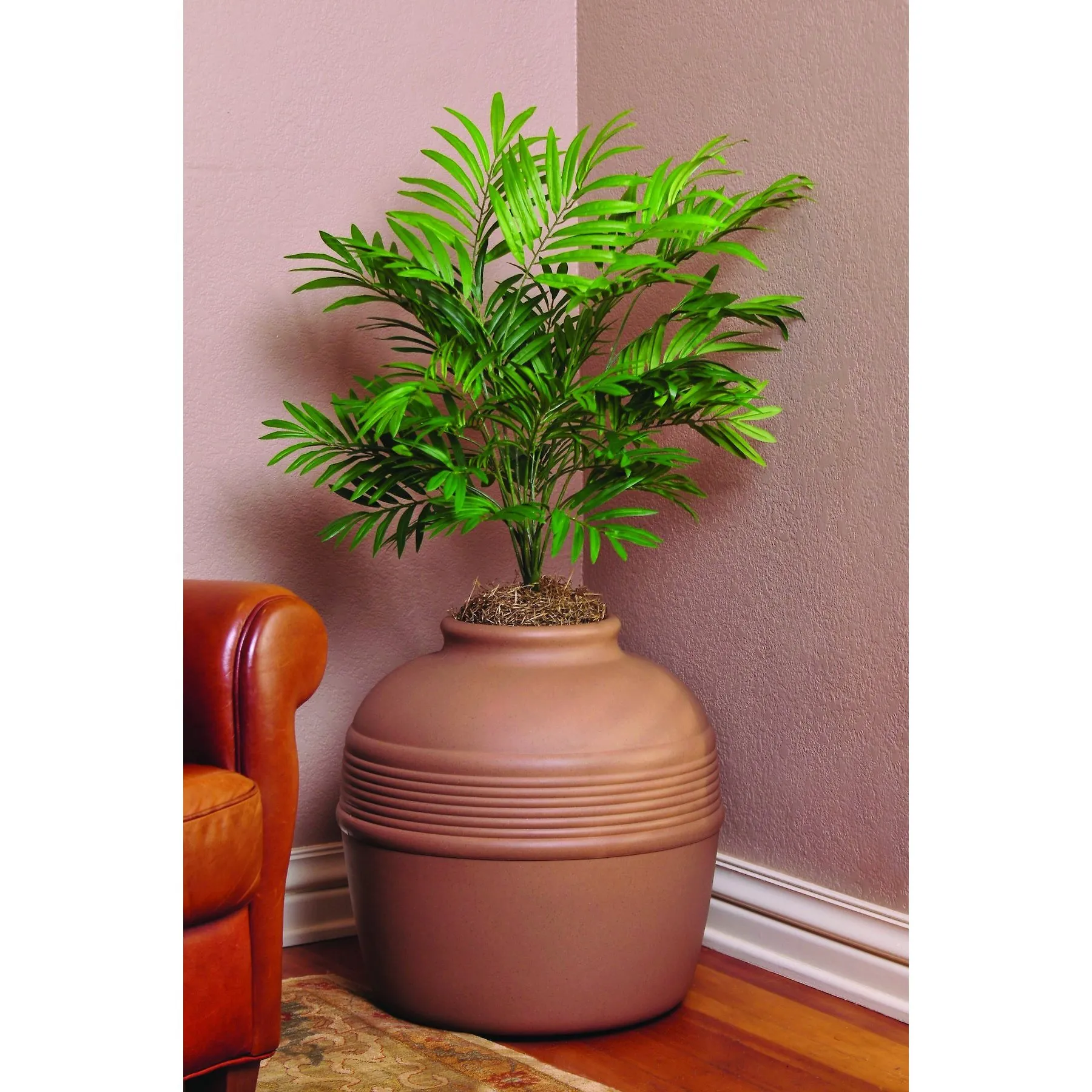 engrais plante verte Engrais plantes vertes naturel  Bleen