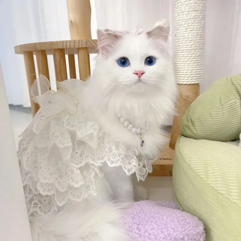 Sweet White Hollow Out Layered Cat Dress Elegant... From Bai10, $18.2 |  DHgate.Com