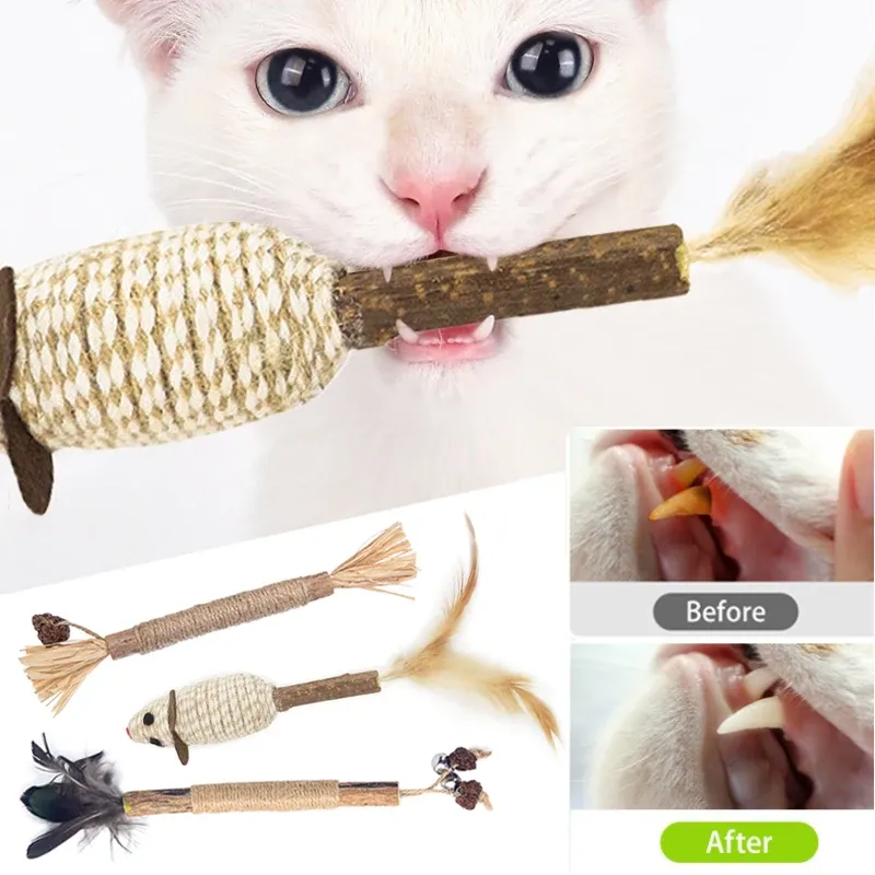 Игрушки кошки игрушки SilverVine Chew Stick Pet закуски закуски натуральные вещи с кошачьей кошачьи для котенок кошки чистя зубы кошки аксессуары katze