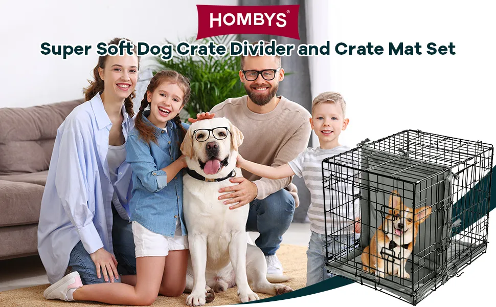 Dog Crate With Divider for Potty Training: Ultimate Guide