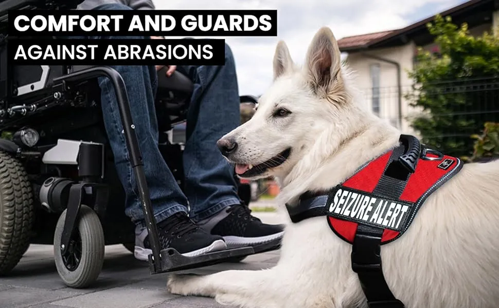 Doggie Stylz Hunde-Geschirr Mit Alert-Patches – Reflektierend, Brustumfang 12-16 Zoll, Violett
