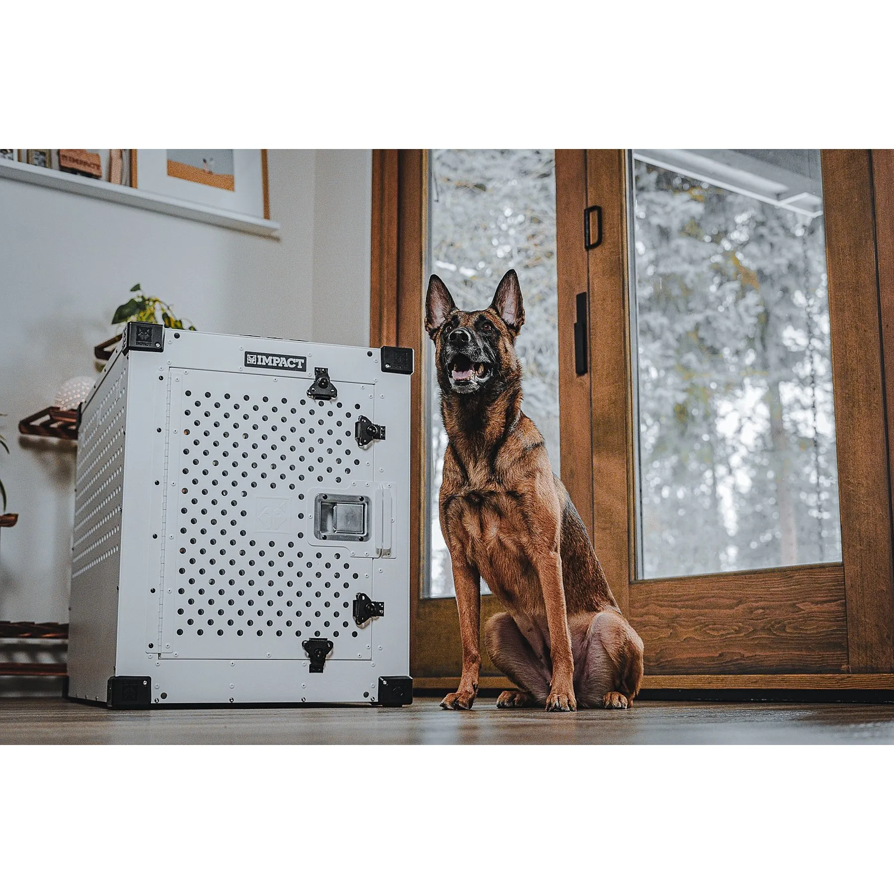 Pet Separation Anxiety Puppy Crate Separation Anxiety My Dog Is