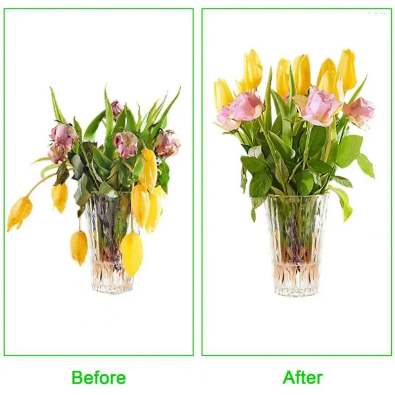 Vazen Floral Grid Holder IJzeren opstelling Tool met multi-holes Bouquet Plant Fixatie Metaal Vaas Bloemarranger voor