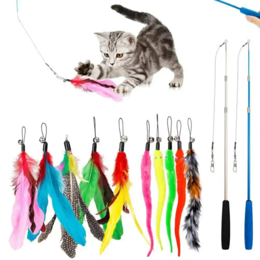 Toys 12pcs Substituição Cat Feather Conjunto de brinquedos de gato Toy Teaser Toy para gatinho Treinamento interativo de gato tocando suprimentos de gato de brinquedo