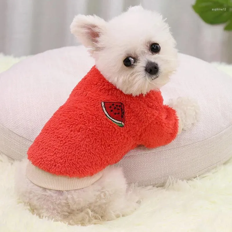 Abbigliamento per cani Autunno inverno abiti per animali domestici per cagnolini abiti da peluche caldi caglie da gatto per gatto medio simpatico da frutto