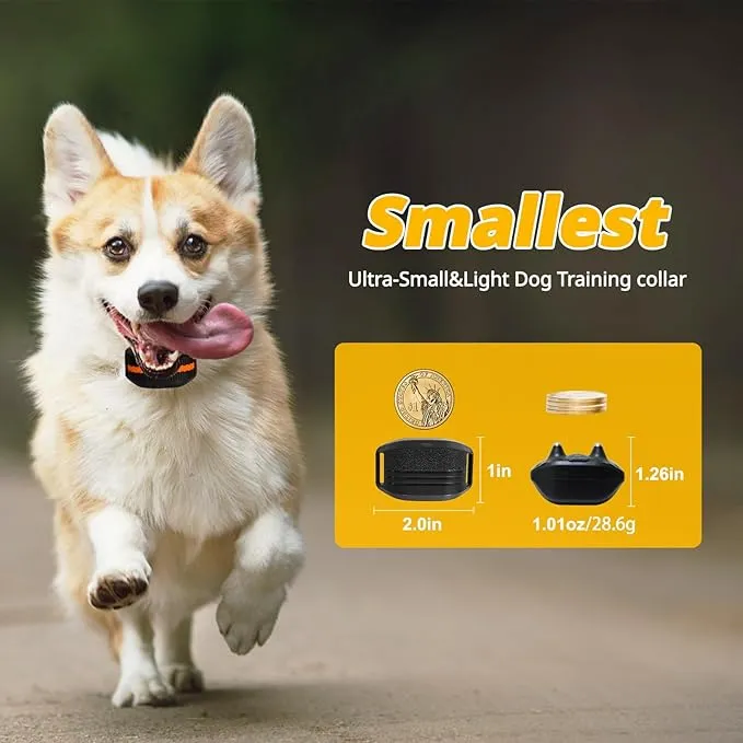 Small Dog Training Collar for 5-15 lbs Dogs with 1900 ft Remote Range, Beep, Vibration, and Safe Shock Levels, Waterproof Plastic E Collar from Dhgate Dog Collars - price 29.23 Small Dog Training Collar for 5-15 lbs Dogs with 1900 ft Remote Range, Beep, Vibration, and Safe Shock Levels, Waterproof Plastic E Collar from Dhgate Dog Collars - price 29.23