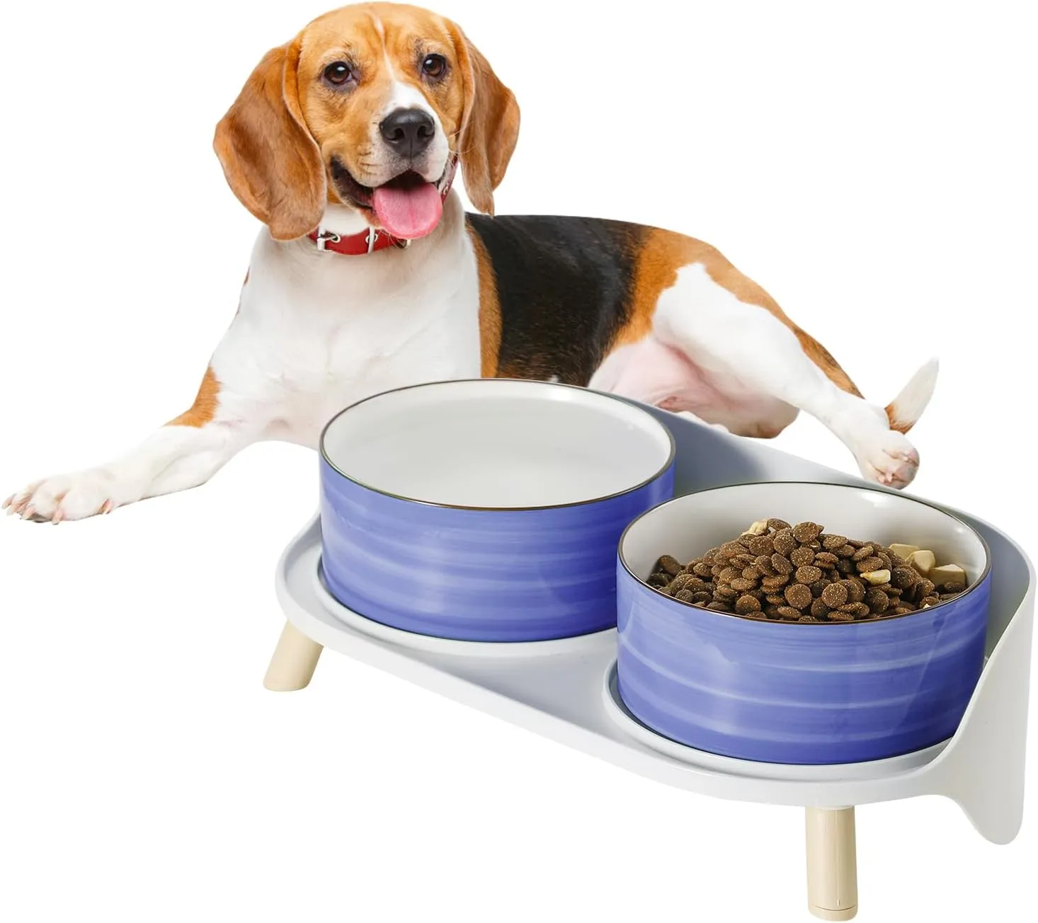 sensitive stomach cat food wet Intestinal Wet Cat Food for Sensitive Stomachs & Digestive Support, Fi   Forza10 America