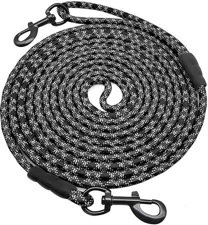Extra Long Dog Leash: Heavy Duty Long Dog Leash for Recall Training, 12 ...