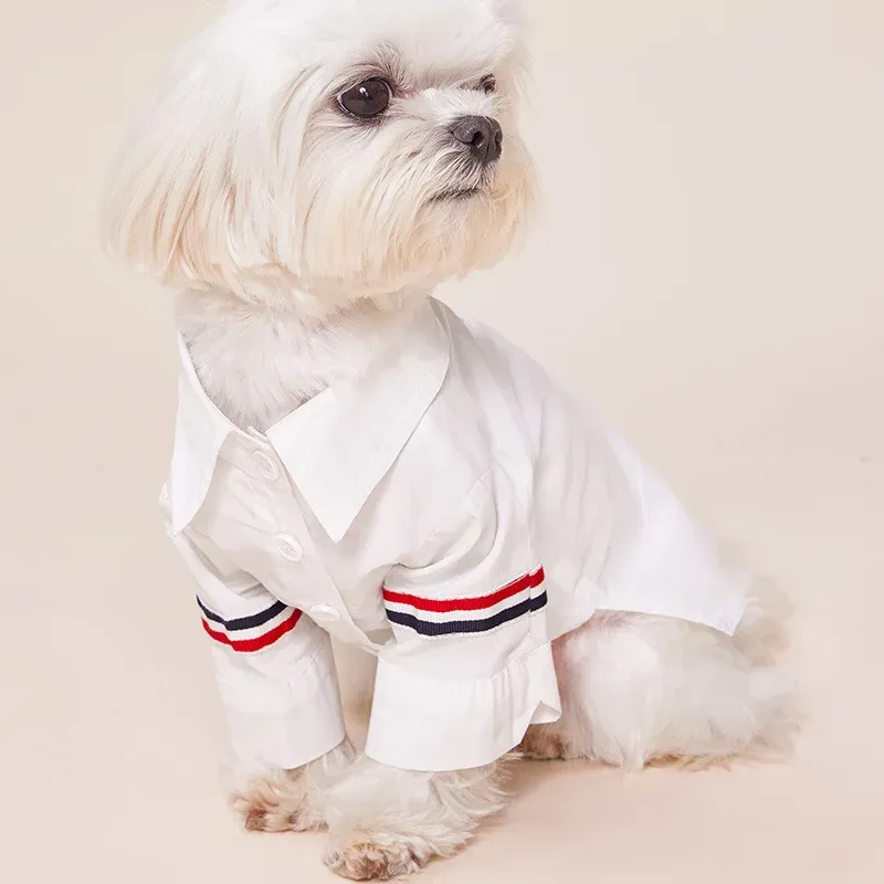 T-shirts Stripe Shirts Robe Clothing Clothing chiens Sweet for Dog Clothes Costume Small French Bulldog Print Mignon d'été blanc mascotas