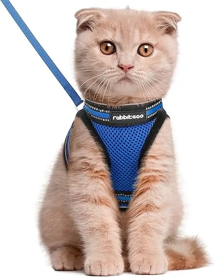 Adjustable Escape Proof Cat Walking Vest With Leash Set, Soft