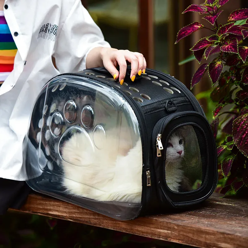 Bolsas novas transportadoras de animais de estimação cães portáteis gatos transparentes mochila transportar bolsa respirável para pequenos animais cachorros de gatinho de cachorro