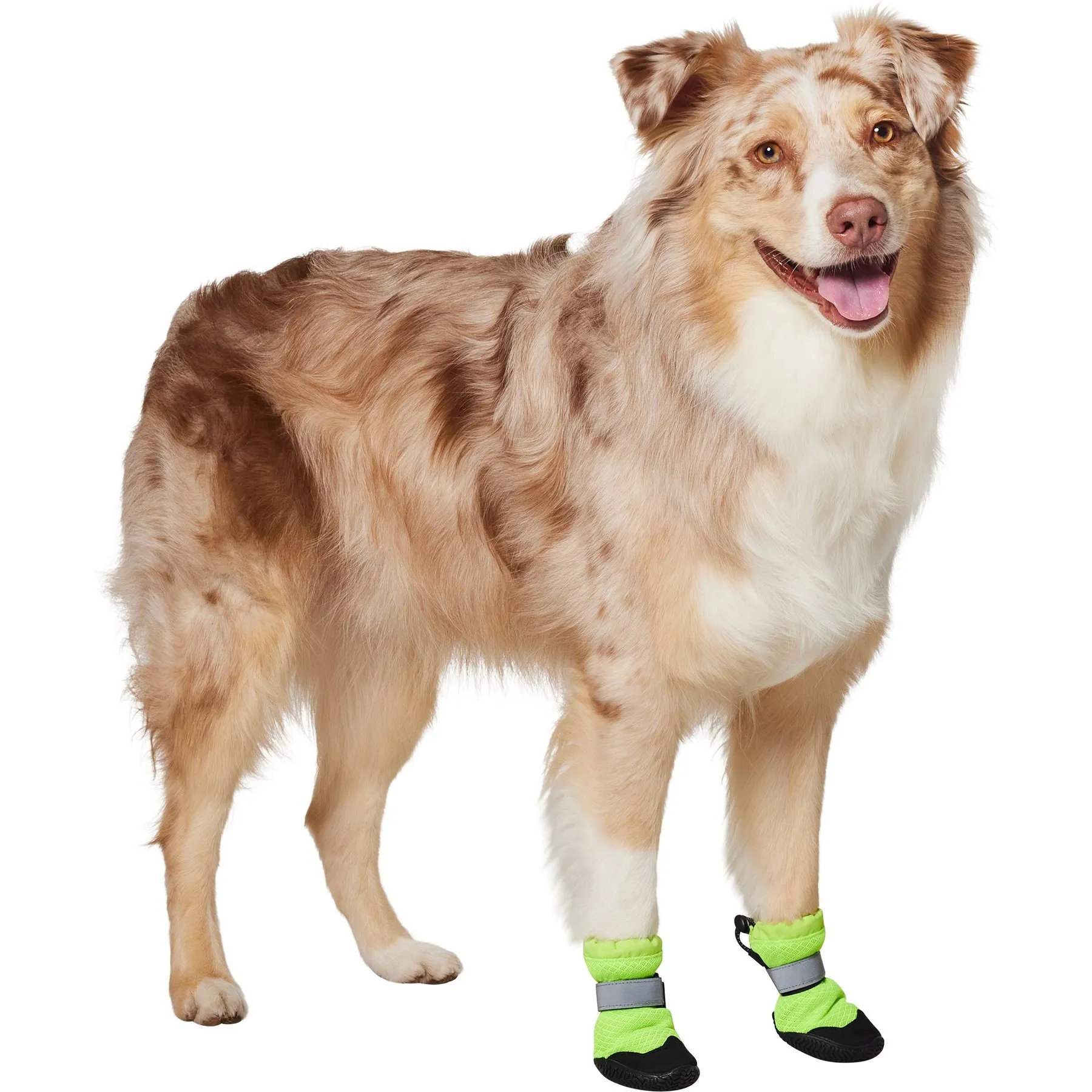 Canada Pooch Dog Shoes For Hot Sand Dog Shoes For Hot Sand Store