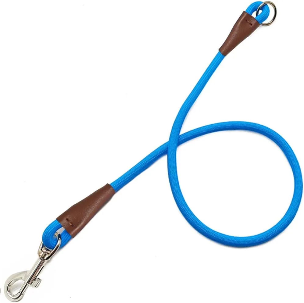 Cycle Leash For Dogs Durable Training Tether With Comfortable Grip, Short  Traffic Lead For Walking, Running, And Biking From Phgate, $9.25 |  DHgate.Com